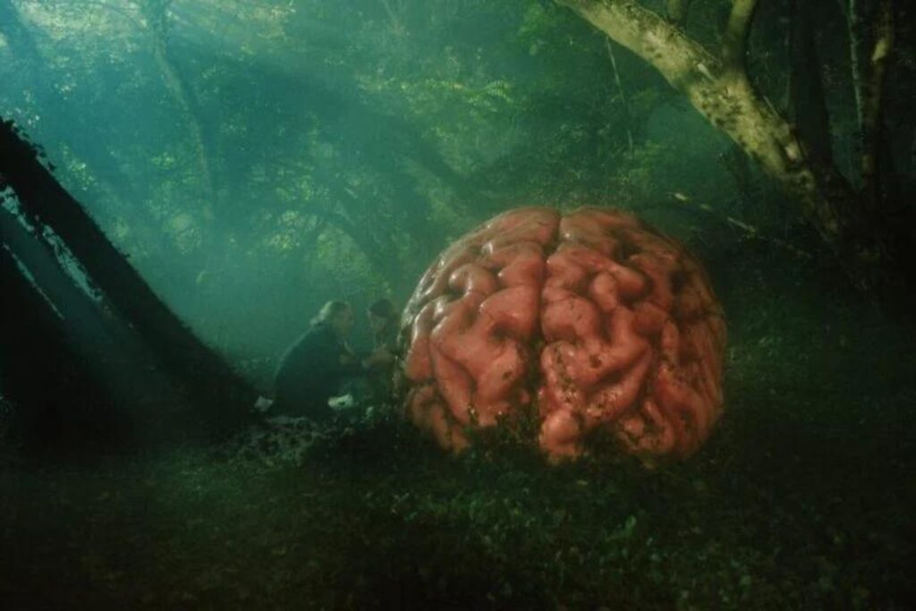 Diseño Sin Título 2024 09 23t165042.856