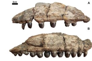 Diseño Sin Título (21)