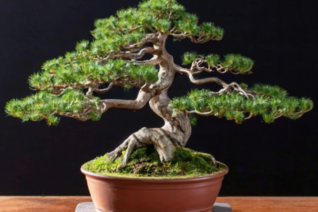 Diseño Sin Título (40)