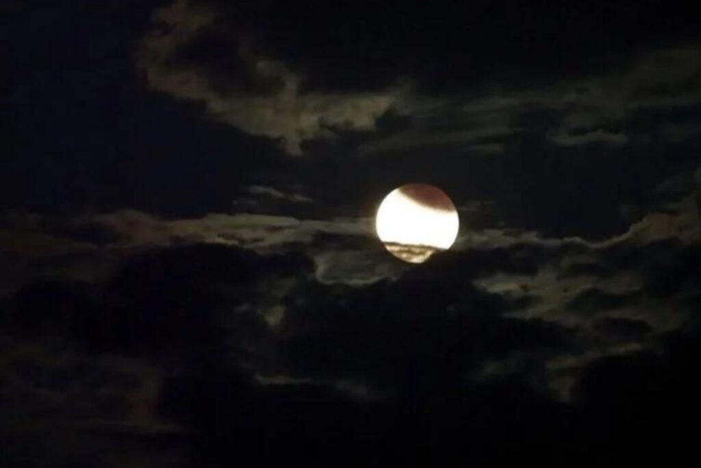 Diseño Sin Título (40)