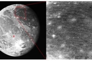 Diseño Sin Título (50)