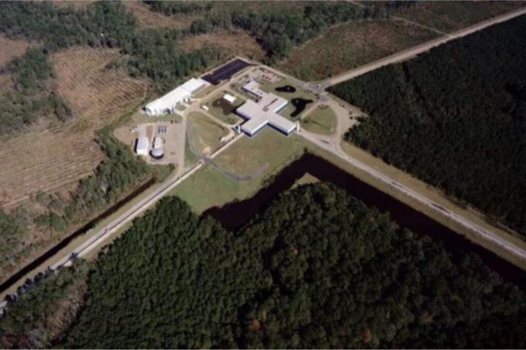 Diseño Sin Título (50)