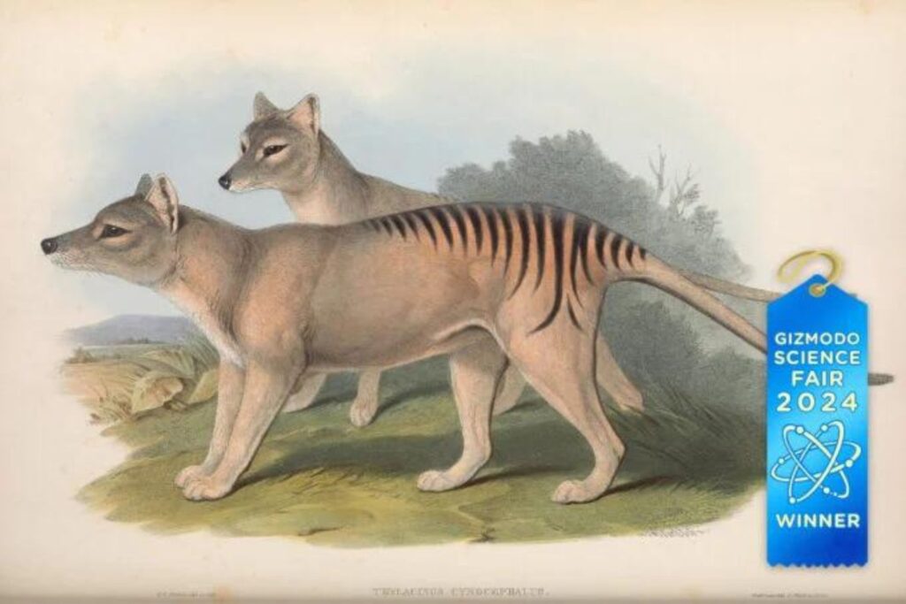 Diseño Sin Título (73)