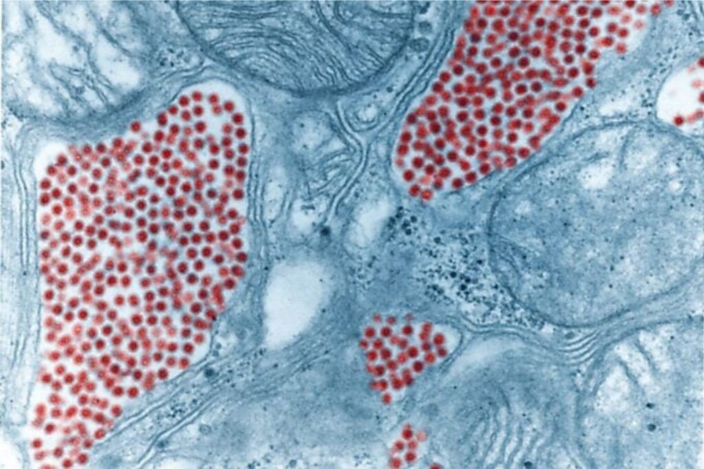 Diseño Sin Título (97)