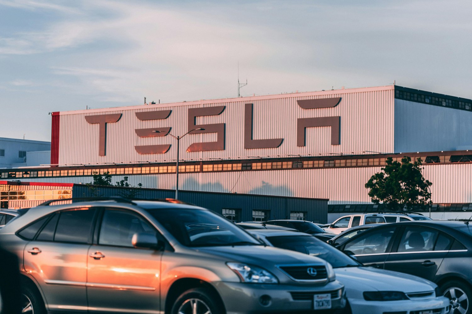 Multa De Tesla A Creador De Contenido