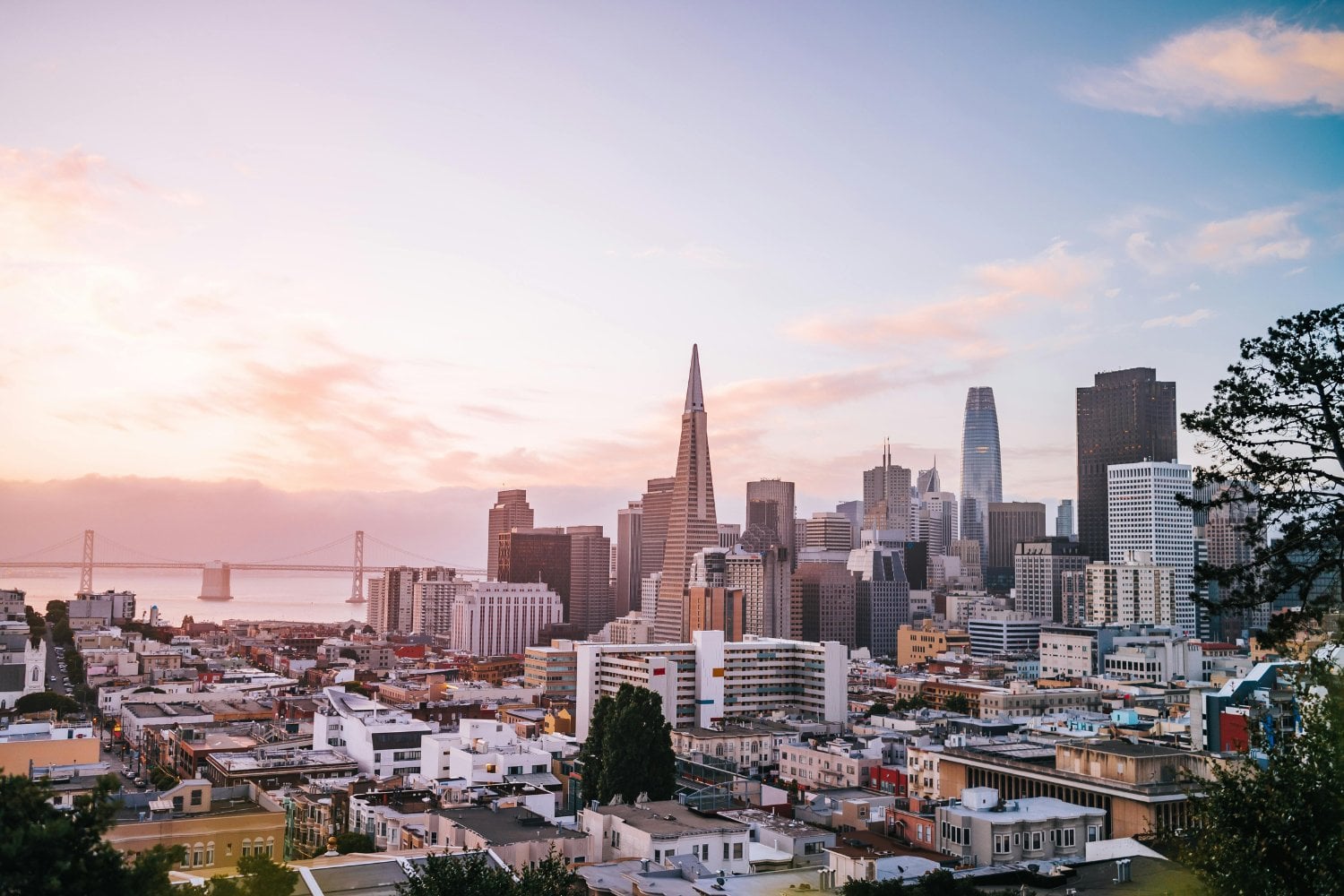 Plaga En San Francisco