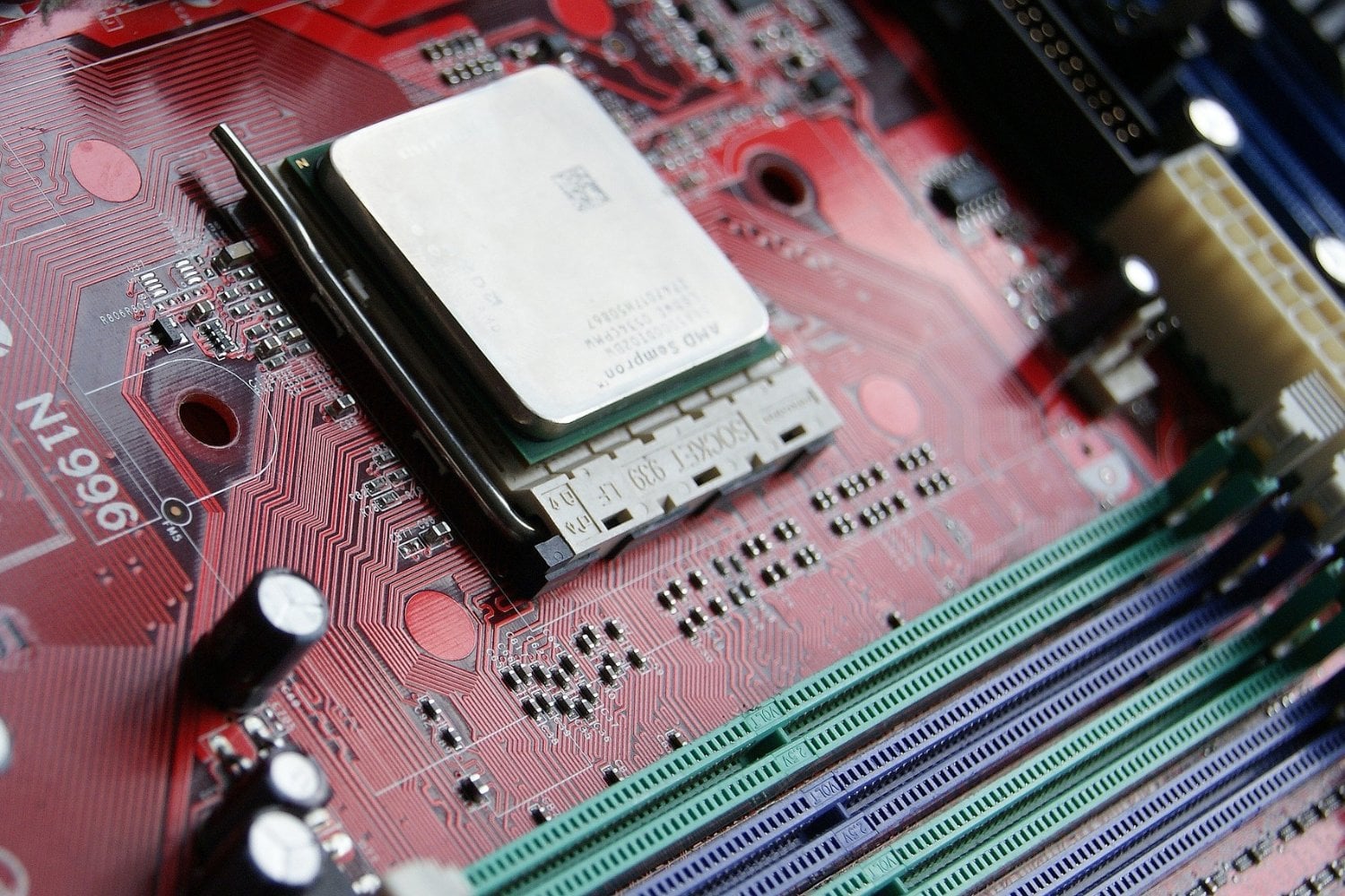Amd