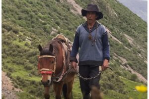 Diseño Sin Título (10)