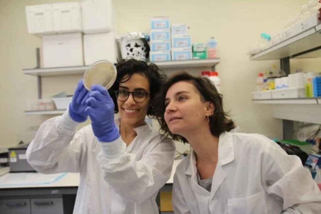 Diseño Sin Título (17)