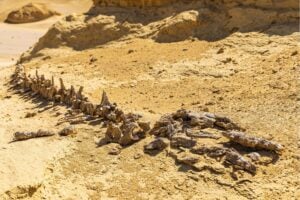 Diseño Sin Título (17)