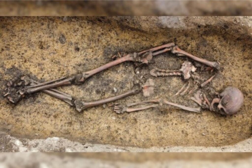 Diseño Sin Título (18)