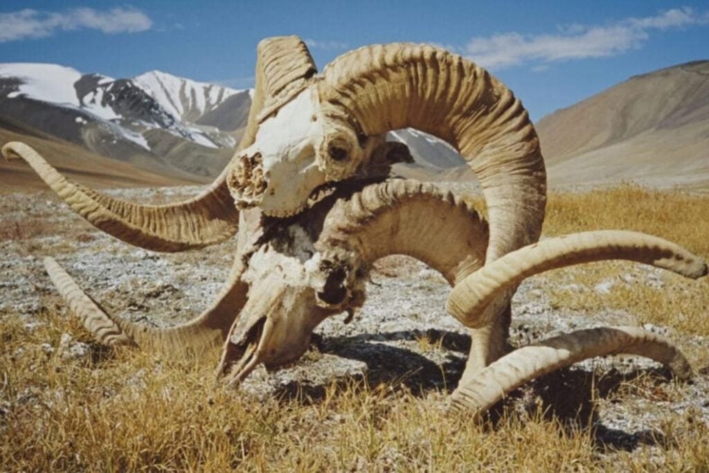 Diseño Sin Título 2024 10 02t065729.973