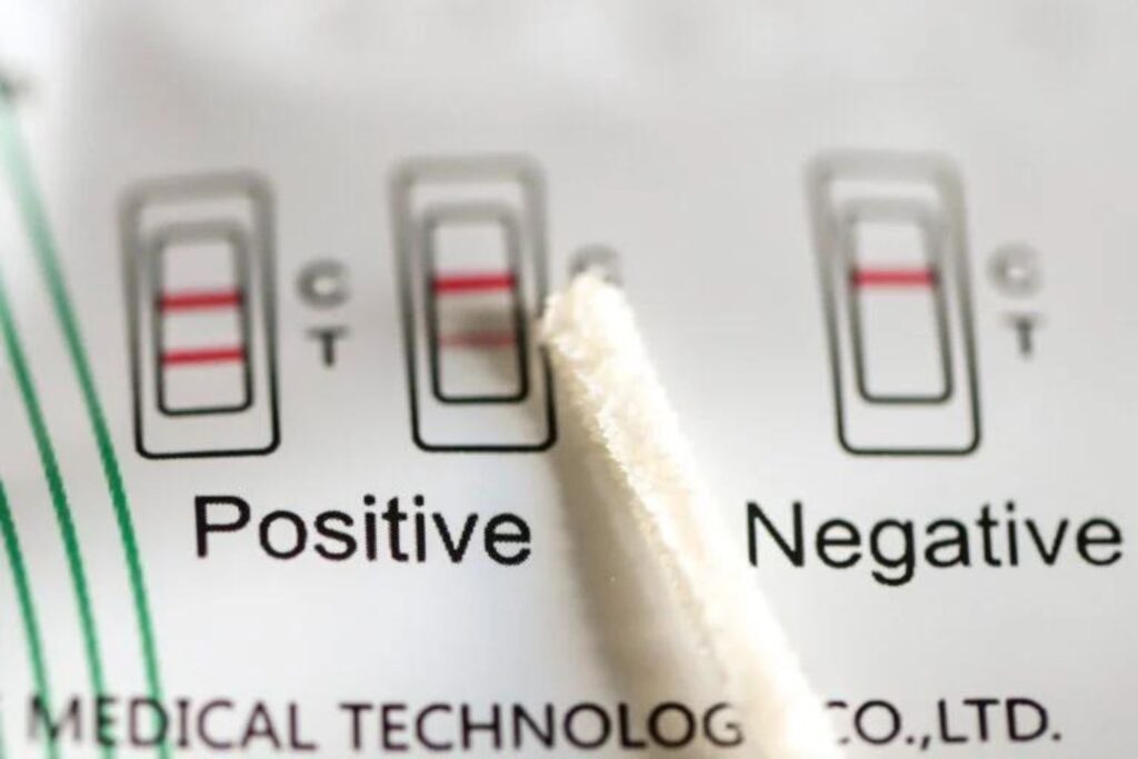 Diseño Sin Título 2024 10 02t095614.762