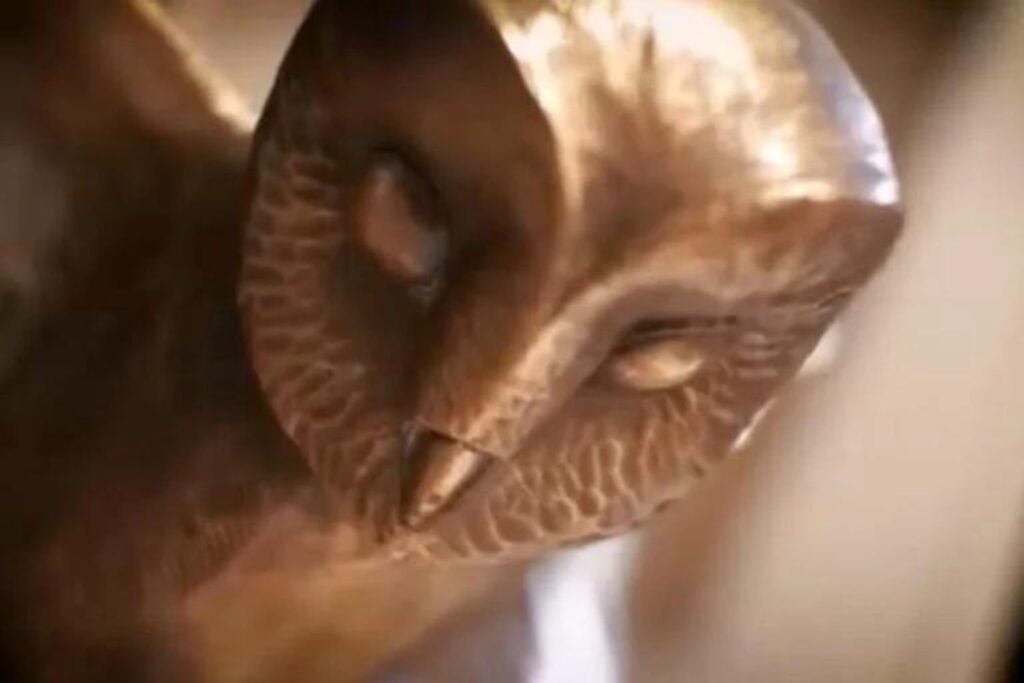 Diseño Sin Título 2024 10 03t145801.420