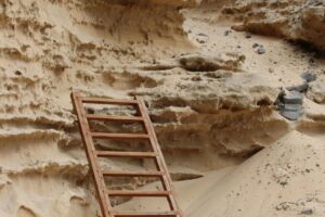 Diseño Sin Título 2024 10 12t133204.171