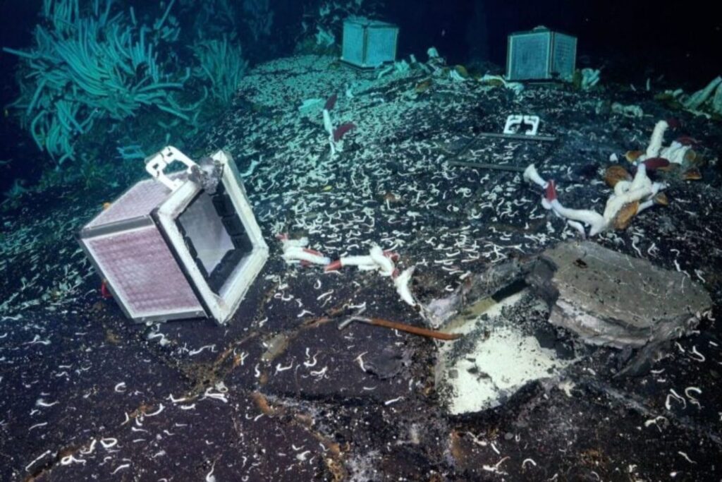 Diseño Sin Título 2024 10 15t125420.845