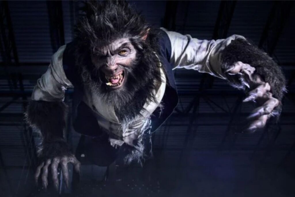 Diseño Sin Título 2024 10 29t164340.291