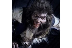 Diseño Sin Título 2024 10 29t165143.998