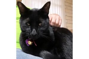 Diseño Sin Título (25)