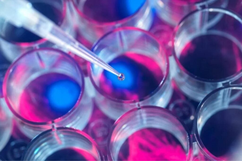 Diseño Sin Título (33)