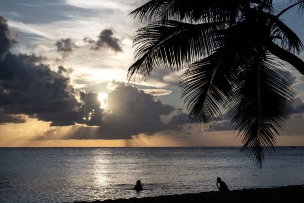 Diseño Sin Título (48)