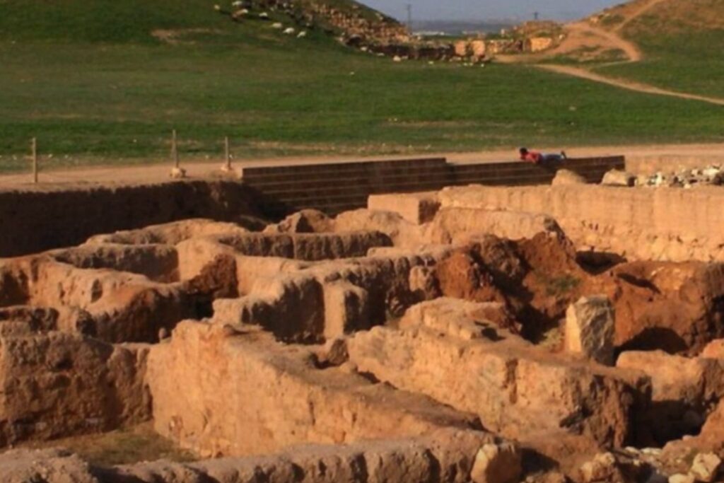 Diseño Sin Título (57)