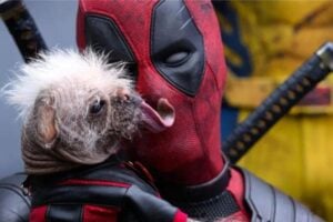 Diseño Sin Título (65)