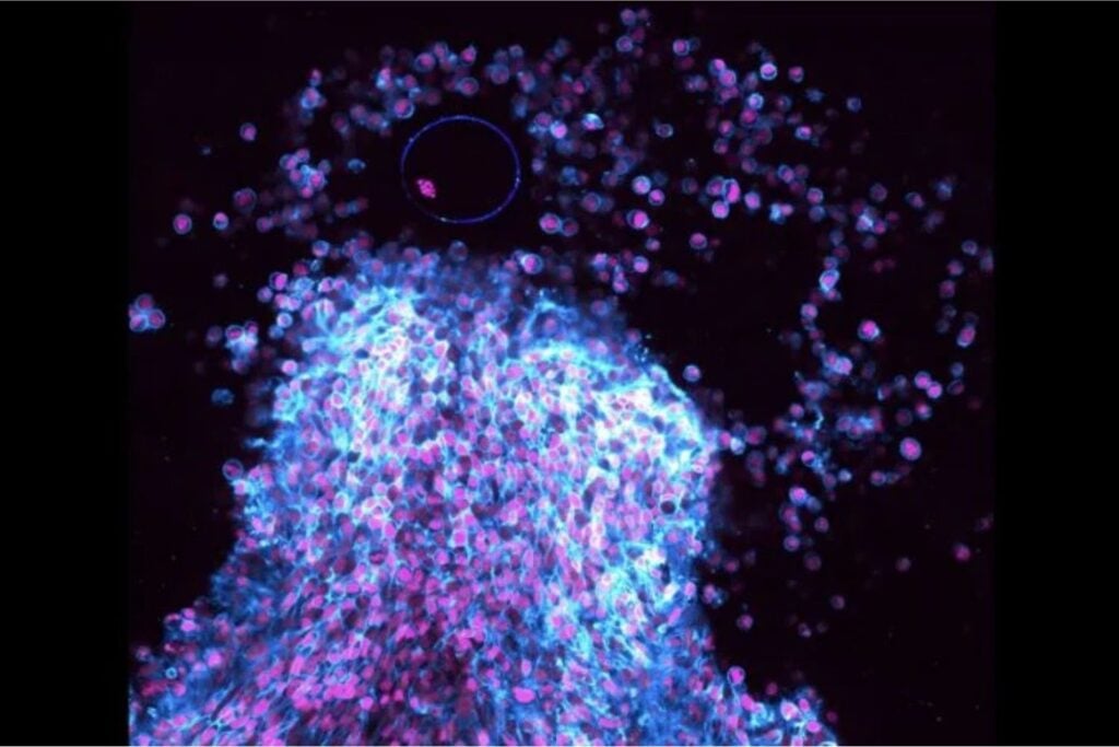 Diseño Sin Título (72)