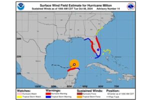 Diseño Sin Título (77)