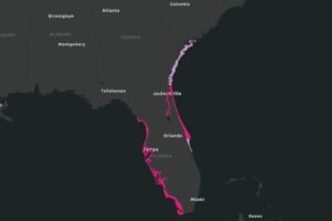 Diseño Sin Título (78)