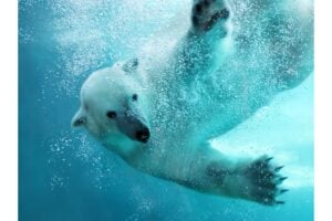 Diseño Sin Título (80)