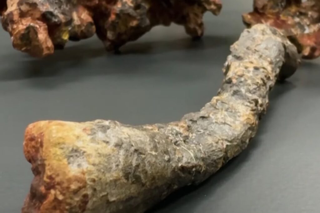 Gondwana Paraisensis