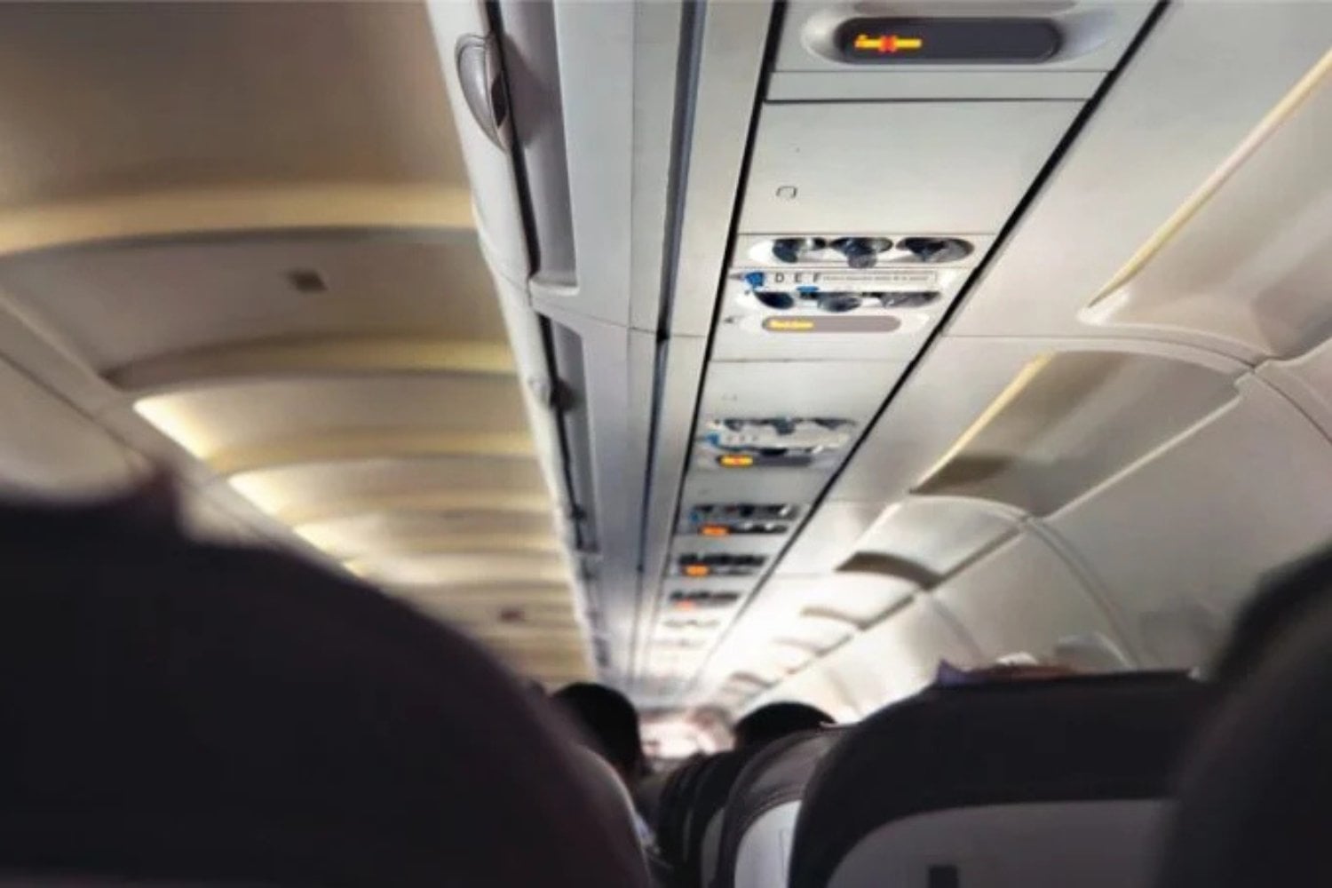 Panico Al Mani Durante Un Vuelo