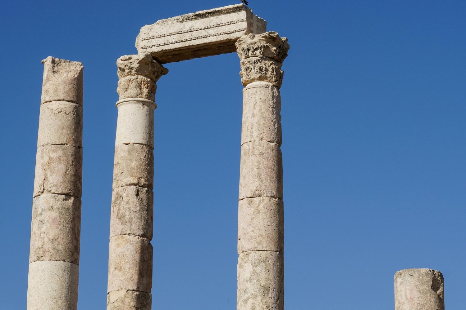 Encendedor De Fuego Burner - 200 Bolsitas Bio, Para Encender Barbacoas, Estufas, Hornos Y Fumadores