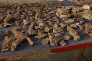 Agua De La Vida En Montevideo