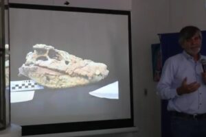 Cocodrilo Gigante En Neuquen