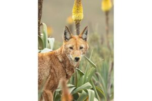 Diseño Sin Título (11)