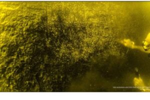 Diseño Sin Título (19)