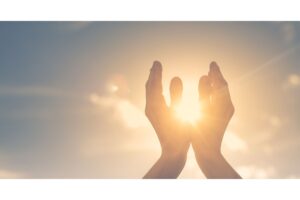 Diseño Sin Título 2024 11 20t093508.130