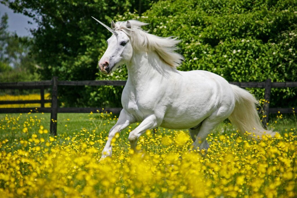 Diseño Sin Título 2024 11 20t103315.415