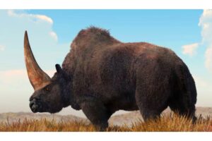 Diseño Sin Título 2024 11 20t103519.136