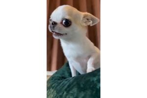 Diseño Sin Título 2024 11 20t110623.493