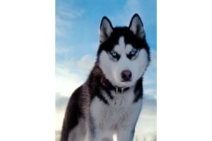 Diseño Sin Título 2024 11 20t110752.703