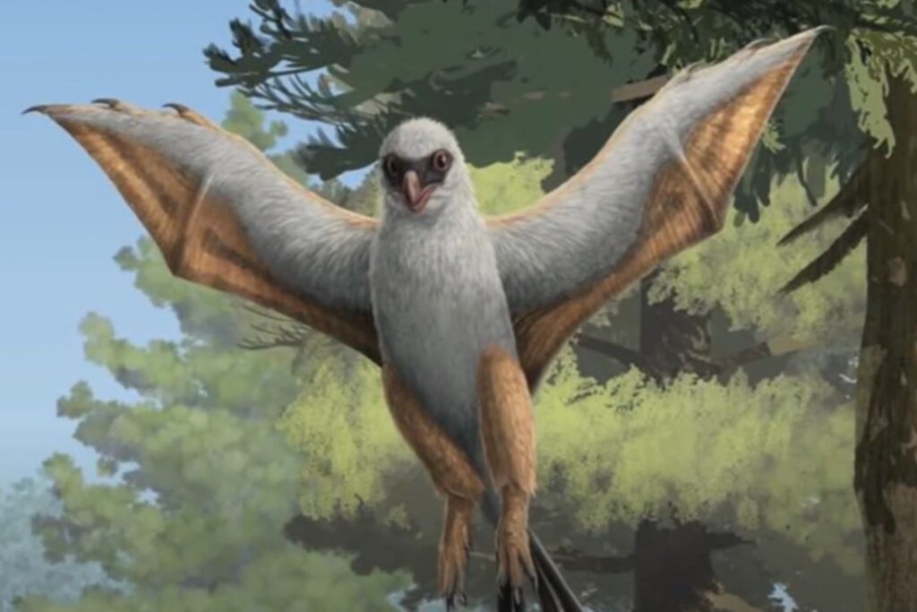 Diseño Sin Título 2024 11 21t072741.051