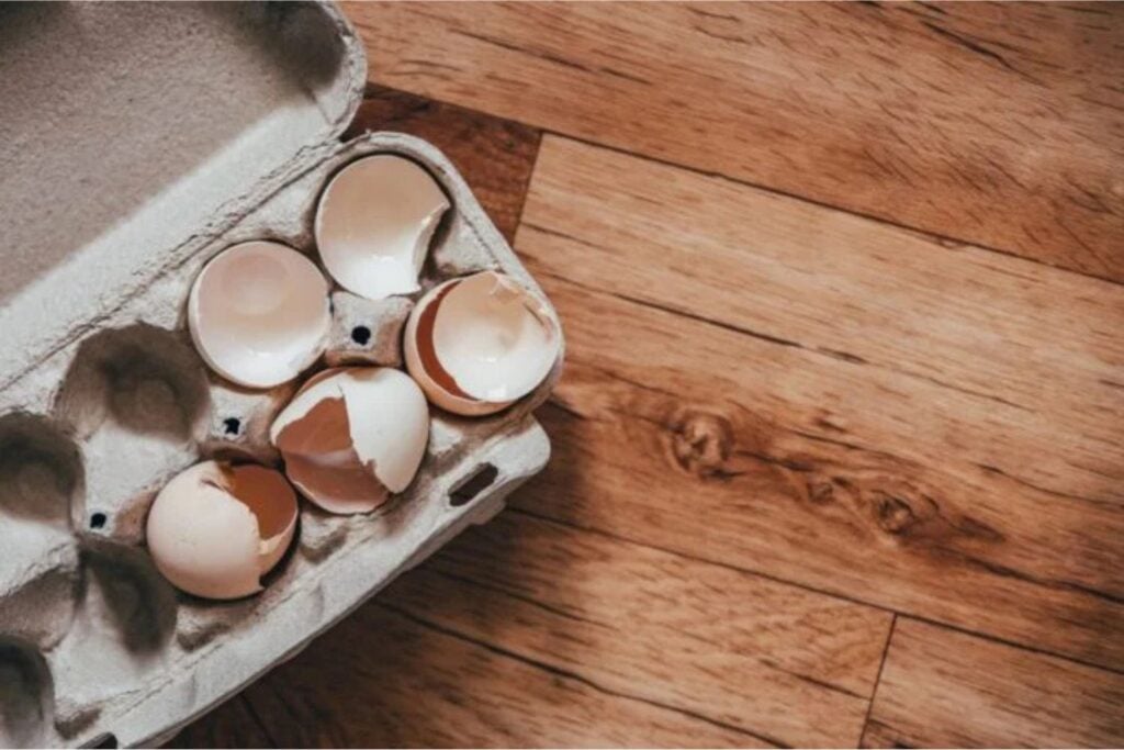 Diseño Sin Título (25)