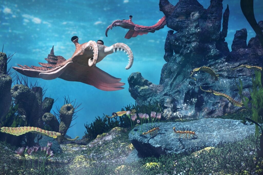 Diseño Sin Título (26)