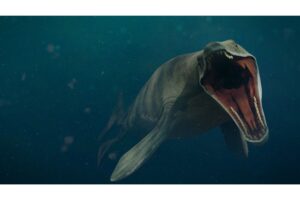 Diseño Sin Título (28)