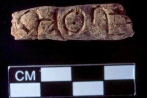 Hallazgo arqueológico