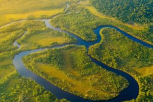 Diseño Sin Título (31)