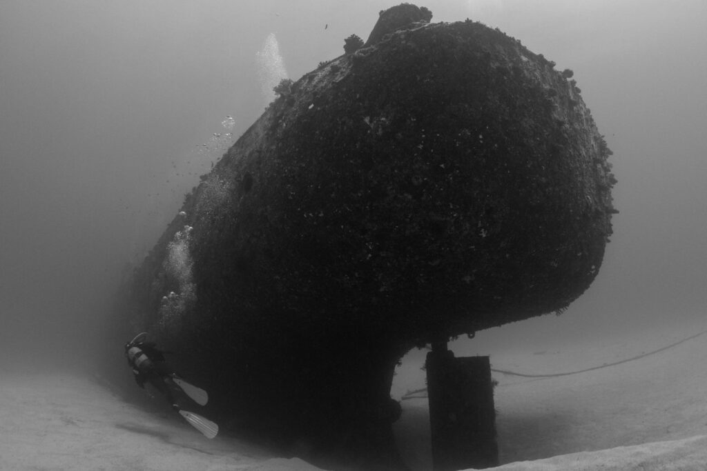 Diseño Sin Título (4)